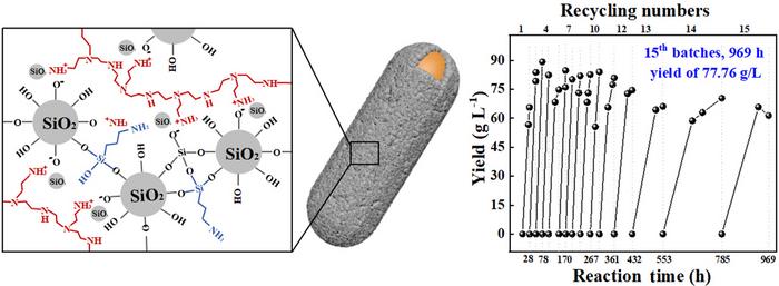 Permeable and robust polymer-silica hybrid armor on cell catalyst for sustainable biomanufacturing.