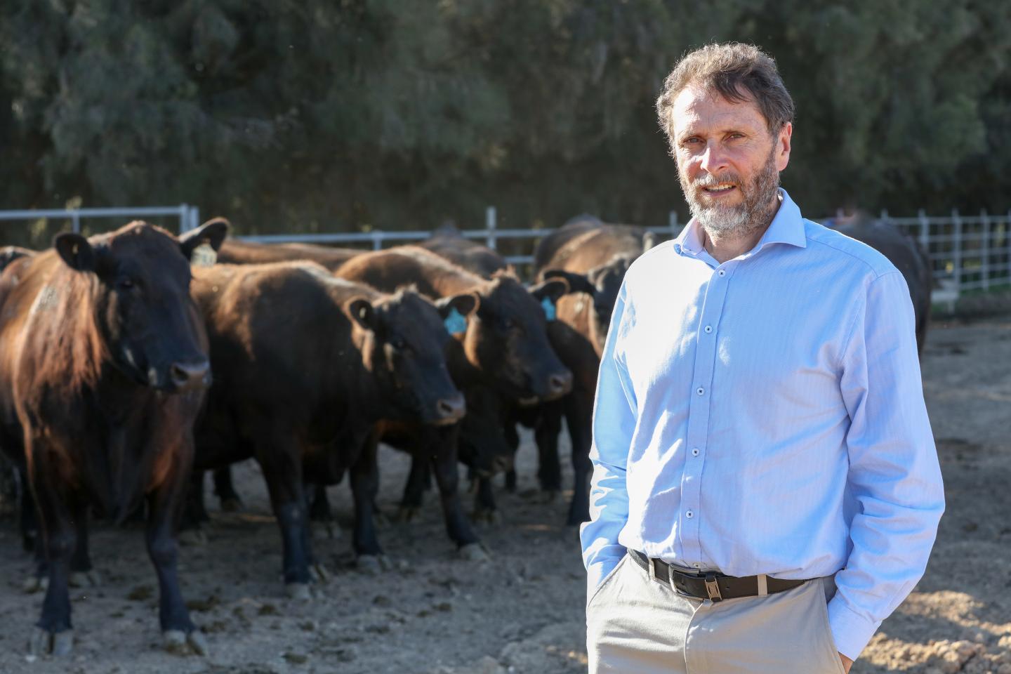 Breeding Cattle for Lower Methane Emissions