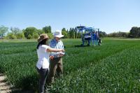 Dr Silva Perez, CoETP and Dr Tony Condon (CSIRO) Finding Better Wheat Varieties in Australia