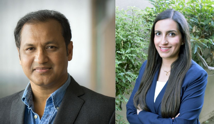 Gautam Das, left, and Shirin Nilizadeh