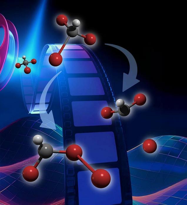 Bromoform Molecules Like to Rearrange Their Atoms