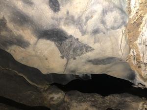 Cave Art Sting Ray
