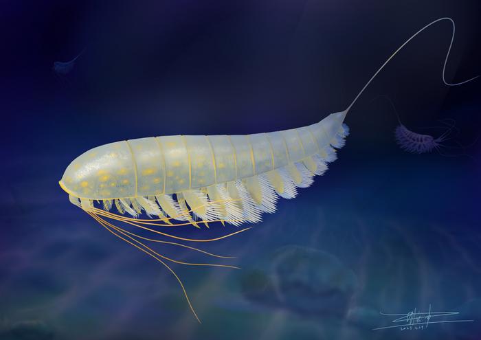 Life reconstruction of Lomankus edgecombei.