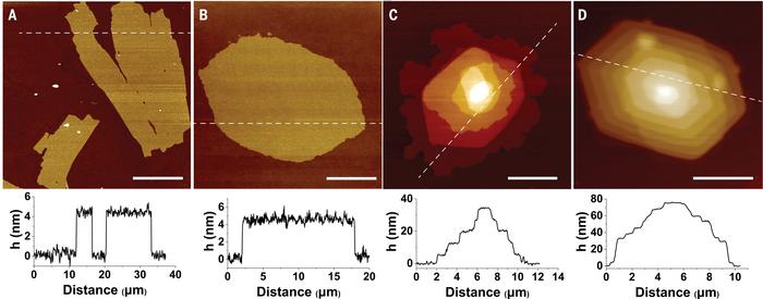 Exfoliation and growth of CMD-N-P2 ultrathin flakes.