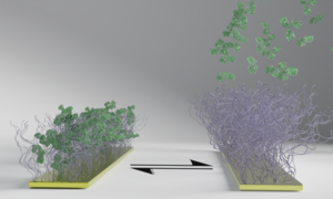 Electrically Switchable Polymer Brushes