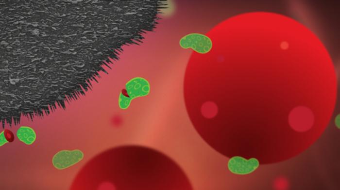 Illustration showing how extremely sharp graphene flakes arrange themselves on a surface and can kill bacteria without damaging healthy human cells