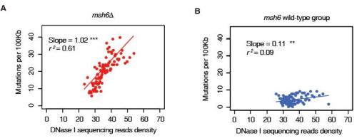 Selective Protection of Genetic Information by Epigenetic System