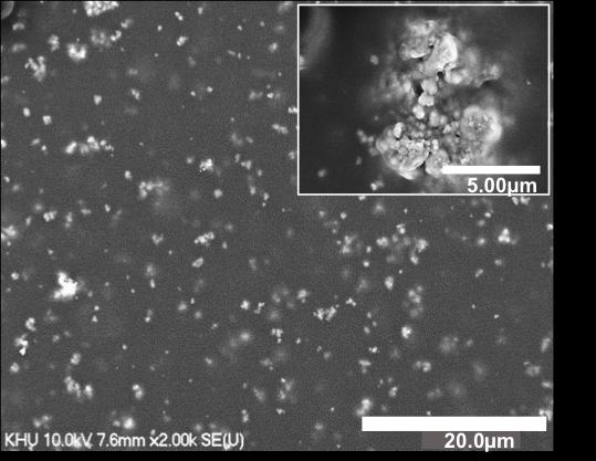 Bismuth Ferrite Nanoparticles Embedded in a Polymer Film