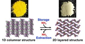 Compound that stores and extracts ammonia using a chemical reaction