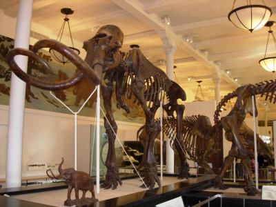 Researchers Teach Computers to Search for Photos Based on Their Contents (1 of 2)