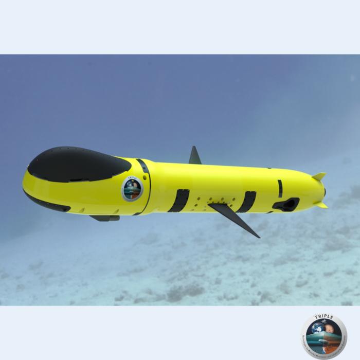 Model of the miniature underwater vehicle