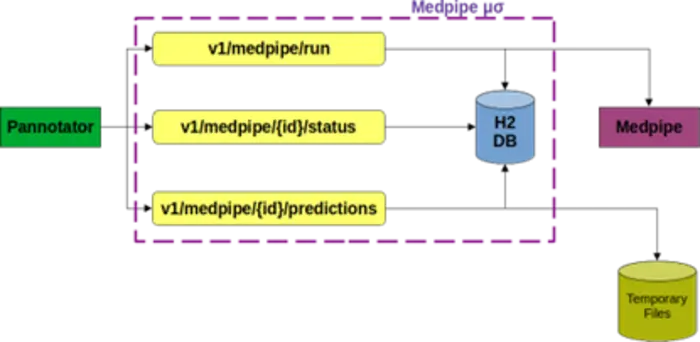 Medpipe microservice architecture.