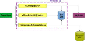 Medpipe microservice architecture.