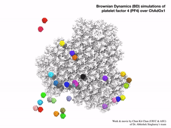 Simulation of PF4 and vaccine interaction