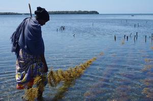 Swahili fisherwoman in Kenya