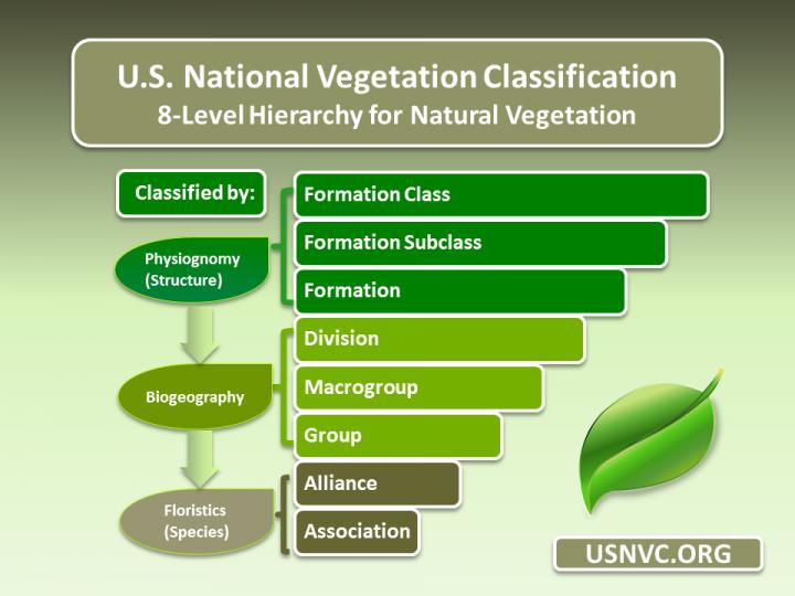 USNVC IMAGE EurekAlert Science News Releases