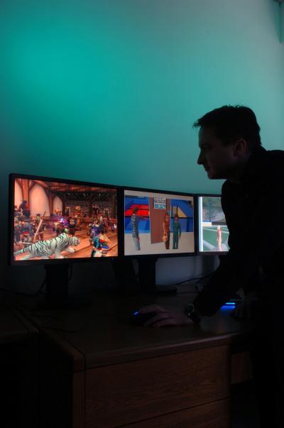 Virtual Worlds Used to Study R [IMAGE] | EurekAlert! Science News Releases