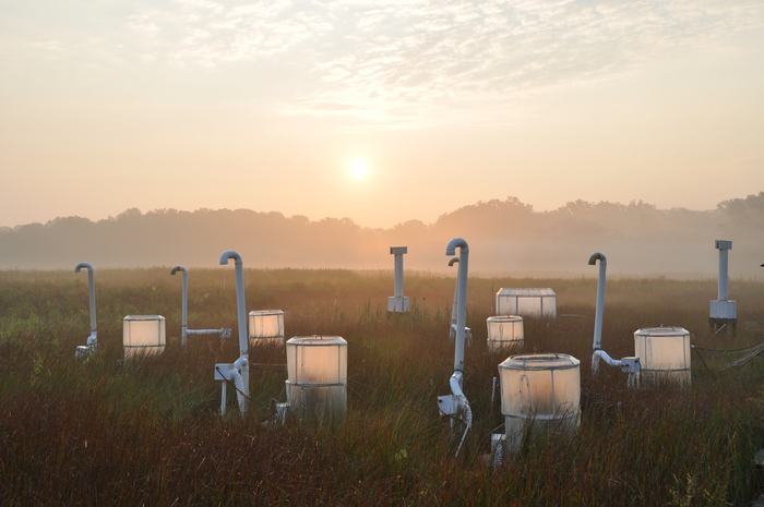 Wetland CO2 Chambers at Sunrise