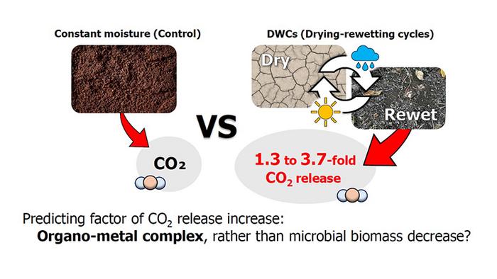 CO2 release increase under repeated drying-rewetting cycles (DWCs).