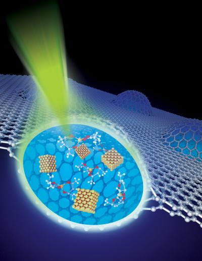 Graphene Capsule Brings Liquids Into Clearer Focus (2 of 3)