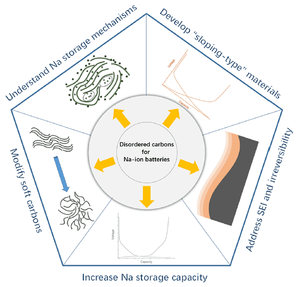 Disordered carbon anodes for Na-ion batteries—quo vadis?