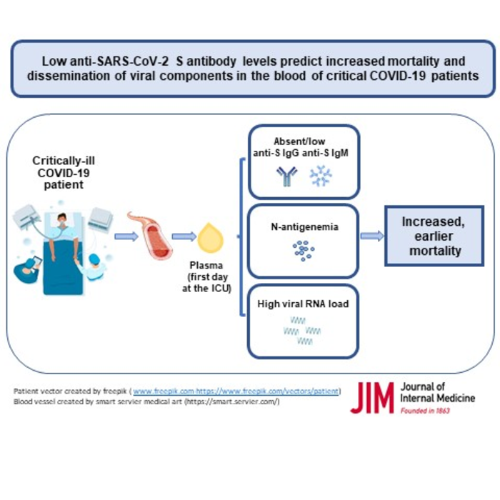Antibody response, COVID-19 and risk of death