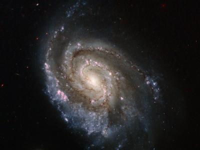 Hubble Catches Stellar Explosions in NGC 6984
