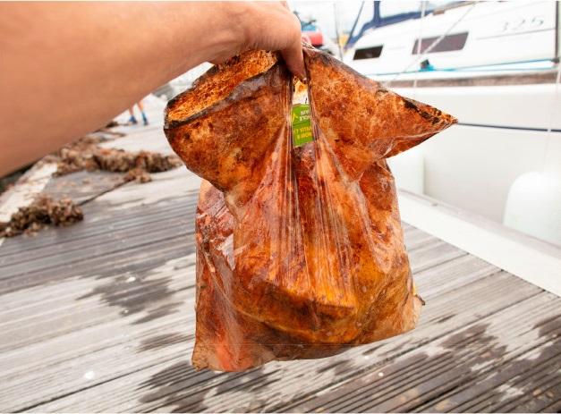 When Biodegradable Plastic Isn't