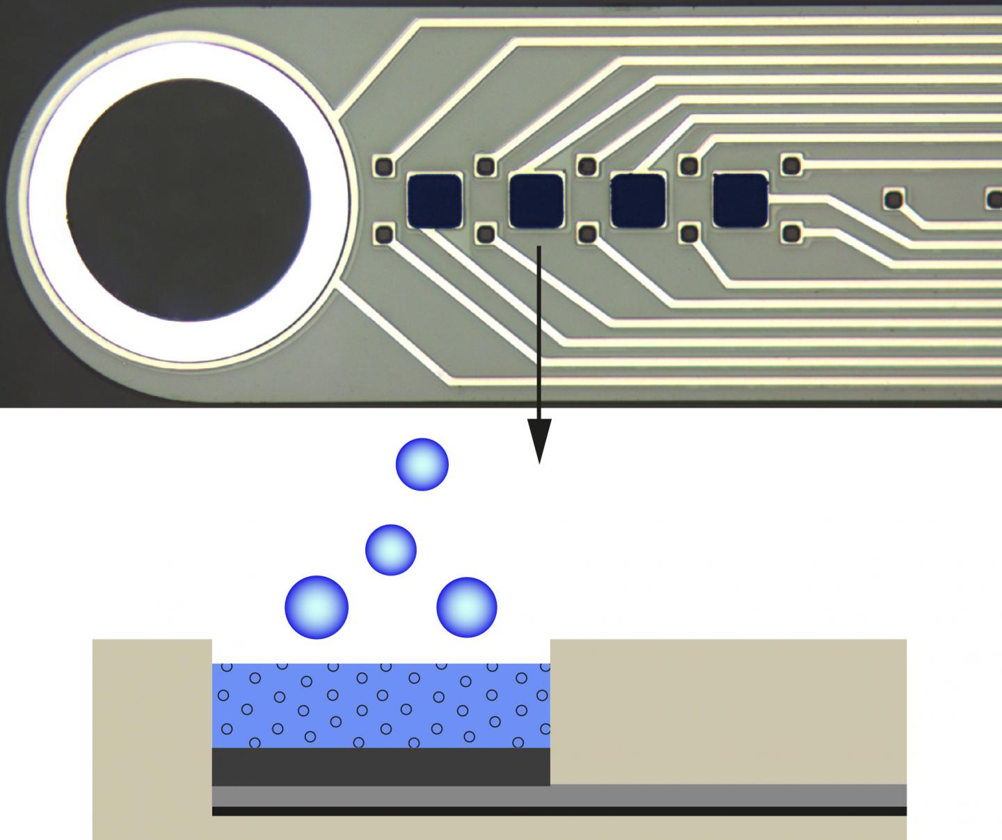 No Sugar Coating, but Sweet Nonetheless