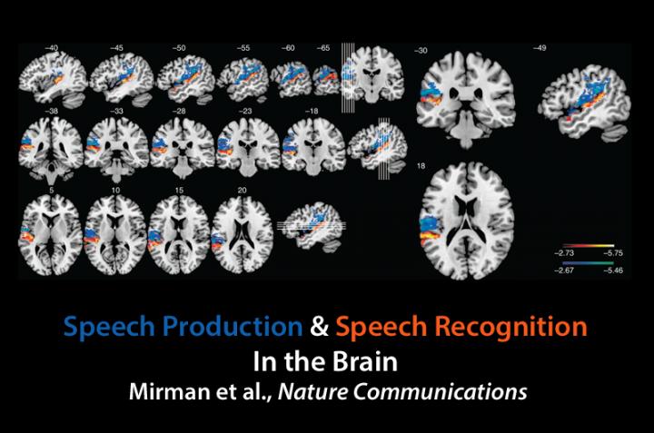 Mapping Speech Production and Speech Recognition in the Brain