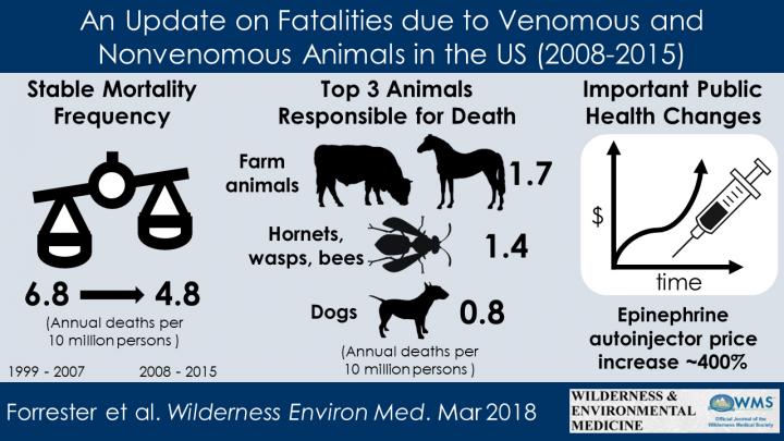 what dog causes the most deaths