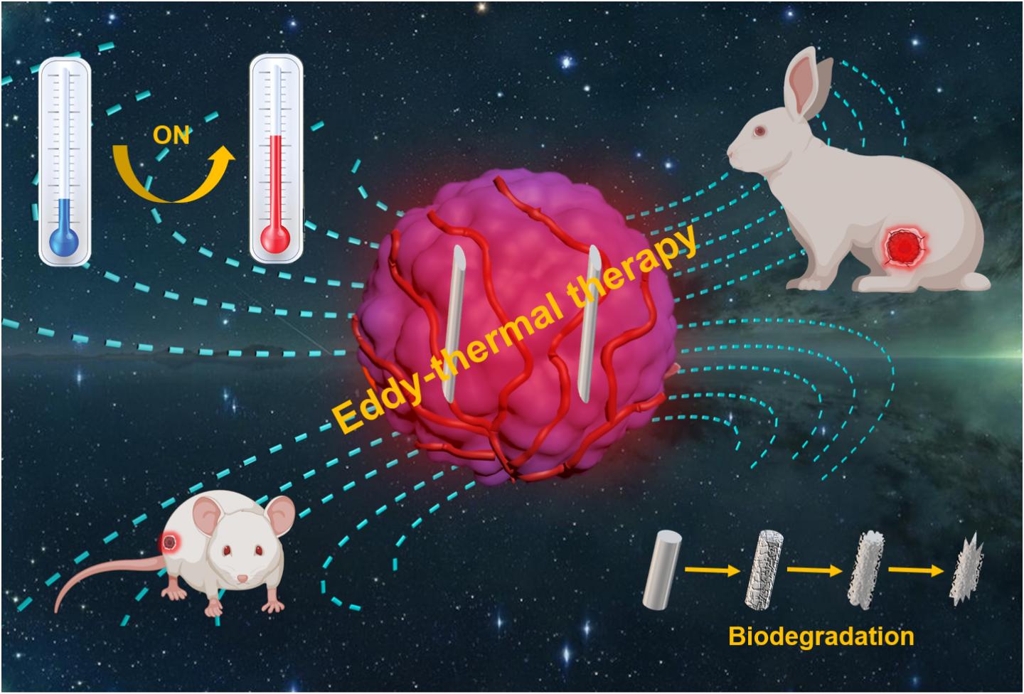 Schematic Illustration