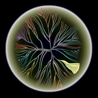 Can You Hear Me Now?