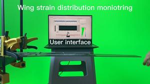 Movie S4. Demonstration of the TSM applied to wing strain distribution monitoring