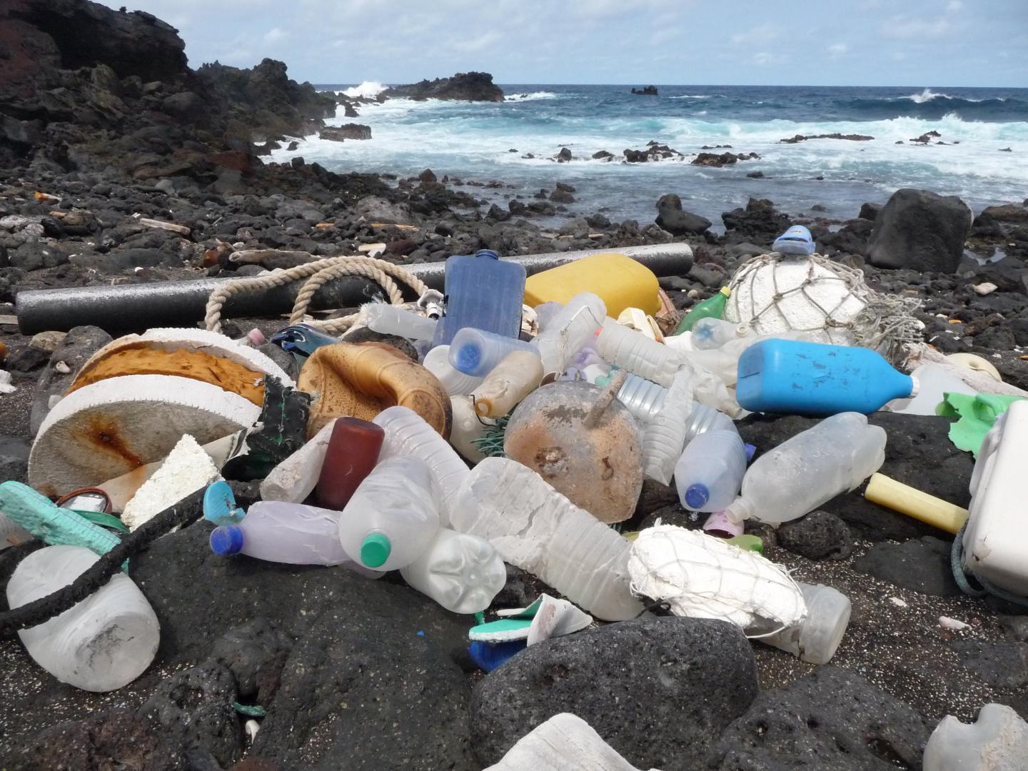 Plastic pollution on coastline of Ascension Island