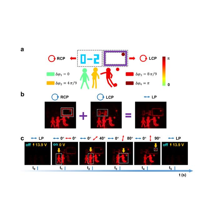 Electric-field and polarization addressable vectorial LC-holographic video.