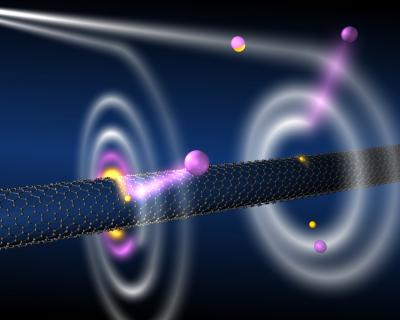 Single-Wall Carbon Nanotube