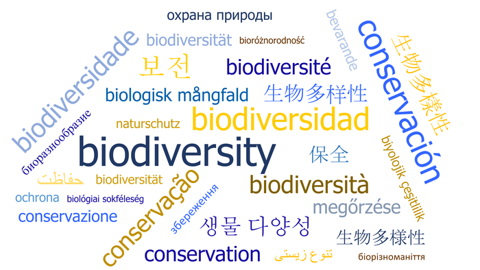 Nicht-englische Wissenschaft kann helfen, die Biodiversität zu retten