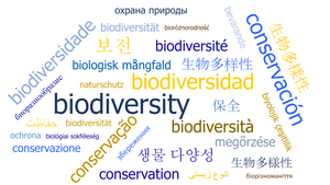 Non-English-language science could help save biodiversity