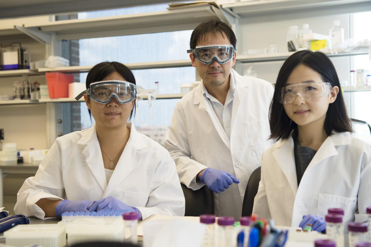 Rice University Researchers