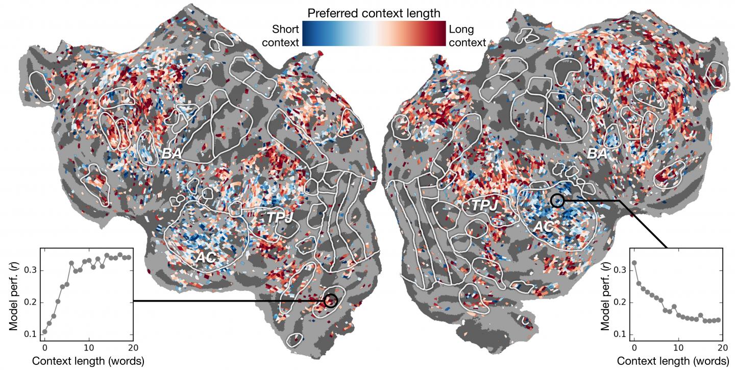 fMRI Analysis of Brain Response to Language