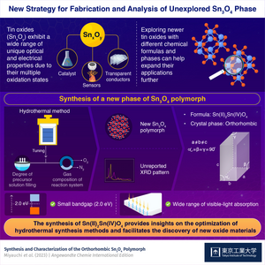 New Strategy for Fabrication and Analysis of Unexplored Sn3O4 Phase