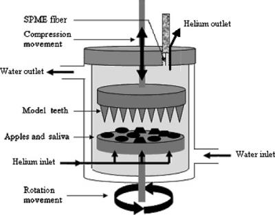 Artificial Mouth