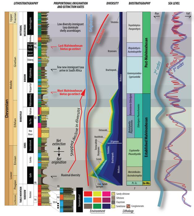 Simplified diagram showing the relationship between changes in sea-level and environment with biodiversity through time in South Africa during the Early-Middle Devonian