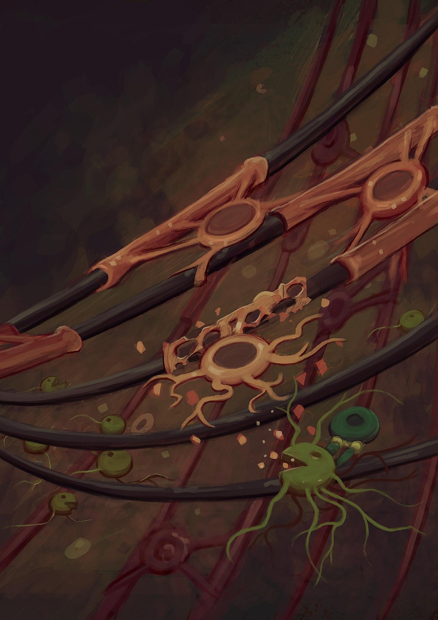 Artwork from Gonçalo Castelo-Branco's laboratory