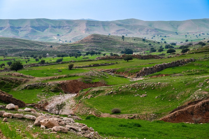 Upland terrain in the Zagros Mountains during Spring demonstrating the ‘greening’ of landscapes.
