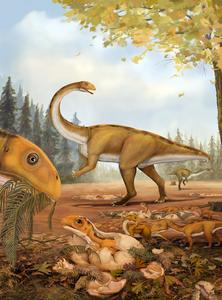 Restoration of life-scene of the sauropodomorph Qianlong from the Early Jurassic of southwestern China.