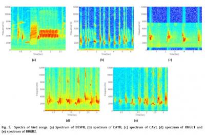 Spectra of Birdsongs