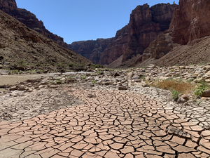 Mud Cracks along Colorado River