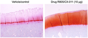 R805/CX-011 before and after